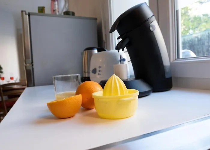 Lejlighed Climatise Avec La Terrasse, Deux Pas Du Metro, Stadium,