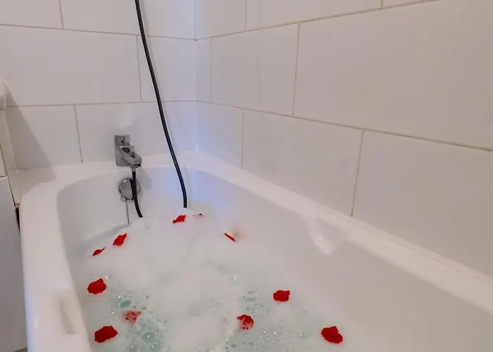 Lejlighed Climatise Avec La Terrasse, Deux Pas Du Metro, Stadium, *